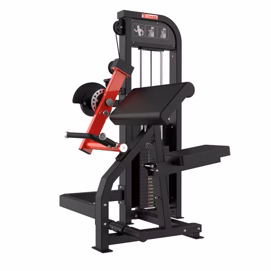 Sample Customization Commercial Gym Strength Arm Exercise Machine Biceps Curl and Triceps Extension Machine