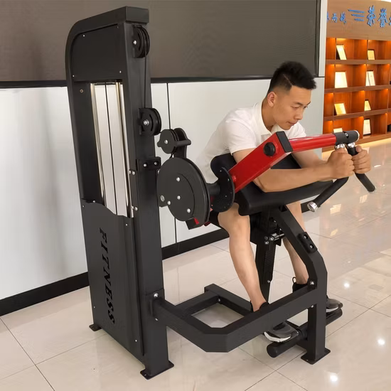 Personalizzazione del modello per macchina per l'allenamento della forza delle braccia da palestra commerciale, macchina per l'arricciatura dei bicipiti e per l'estensione dei tricipiti