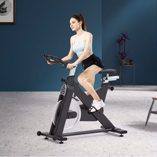 Mini spinning bike magnetica per allenamenti in palestra indoor