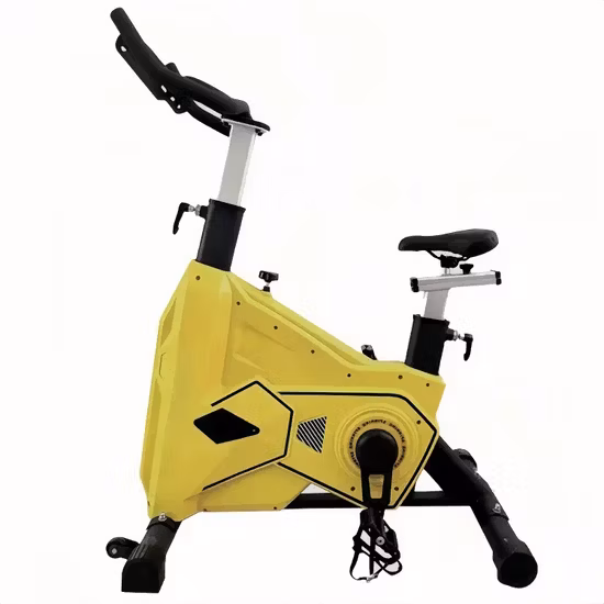 Bicicletta da spinning professionale da 6 kg, 8 kg e 13 kg per uso domestico