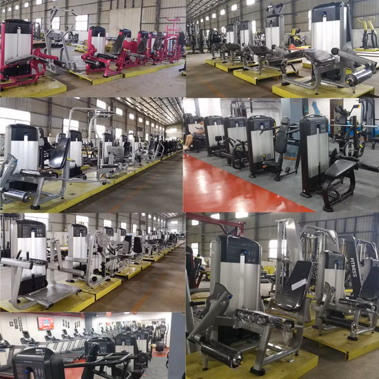 Cina all'ingrosso attrezzature per il fitness sollevamento pesi tozzi